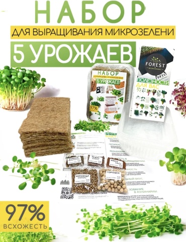 Набор для выращивания FOREST 764587934