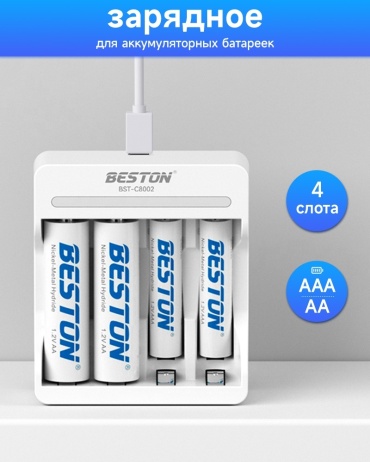 Зарядное устройство BESTON C8002