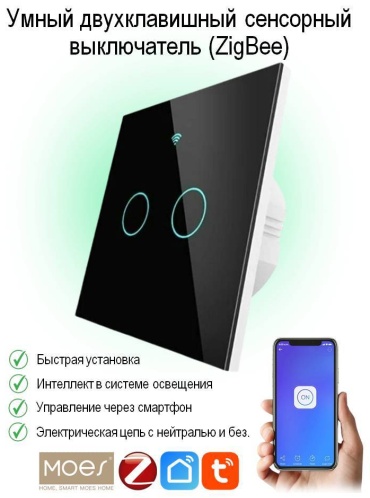 Кнопка сенсорного управления Moes ZS-EU2-BK-MS, черный