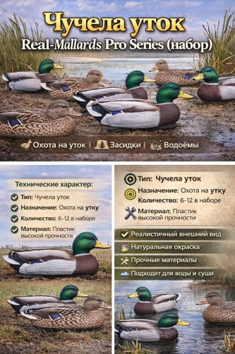 30377283_554641242 утка