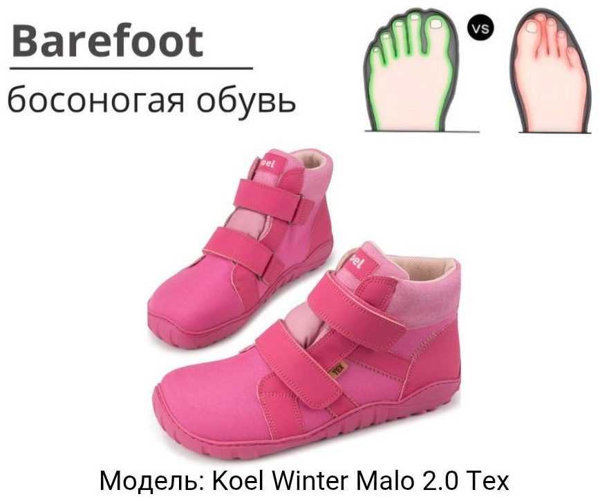 фуксия