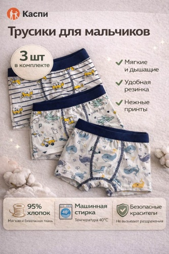 Боксеры мультиколор
