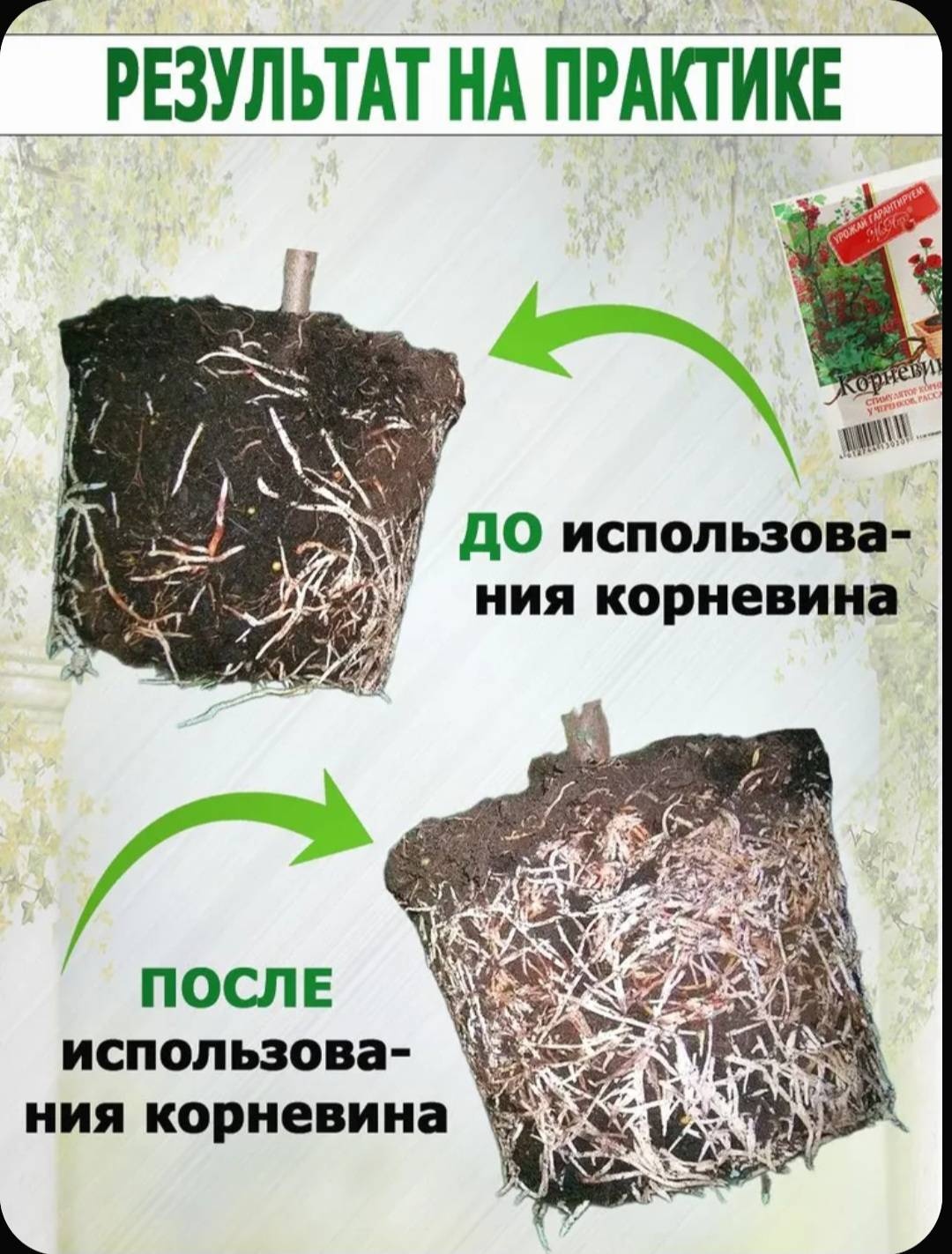 Корневин
