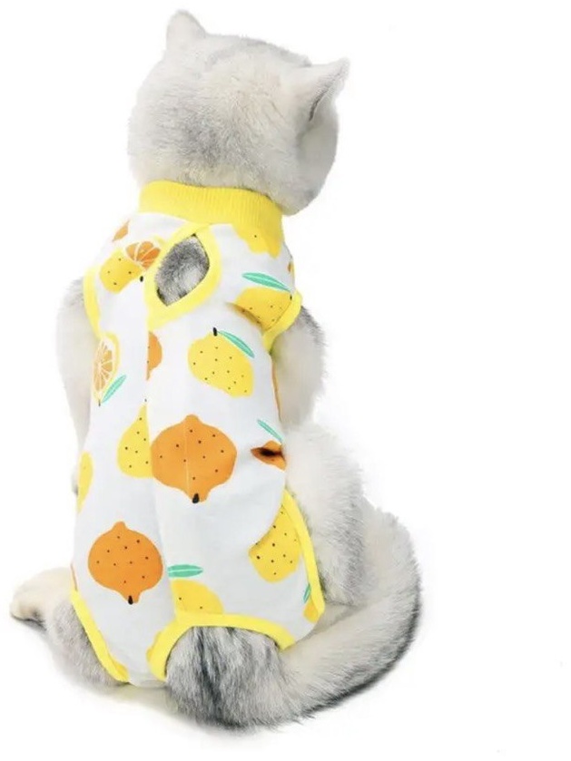 Попона послеоперационная 310623516, M 1 шт