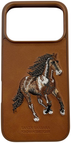 Чехол Santa Barbara для Apple iPhone 17 Pro Max рисунок