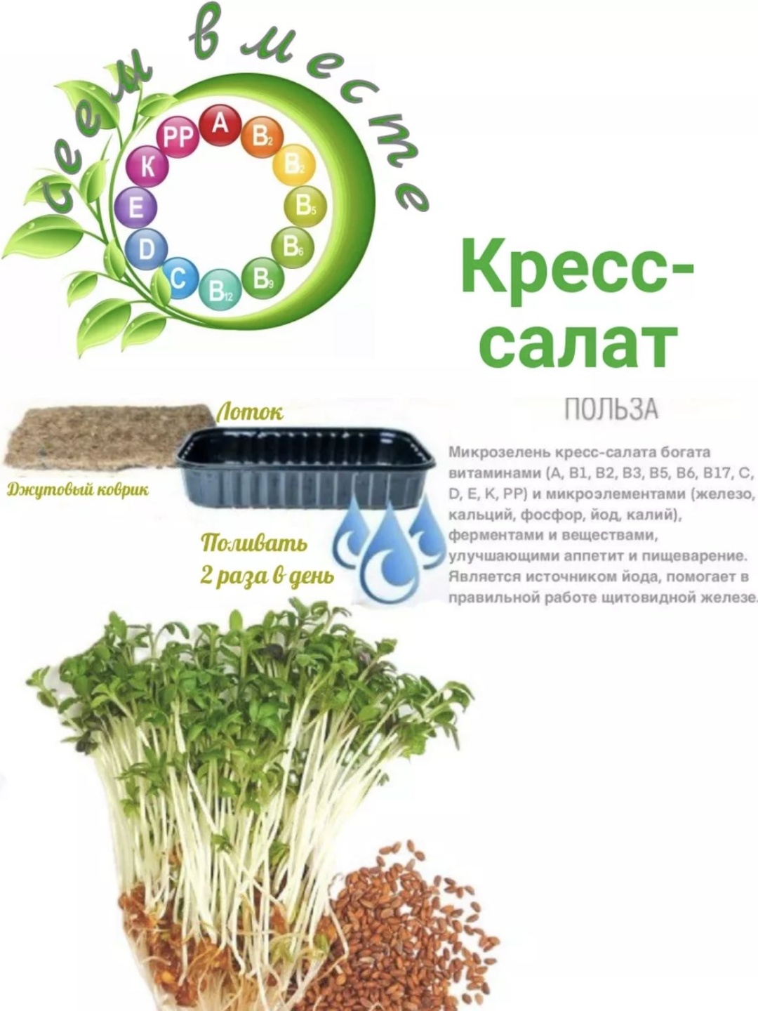 Набор для выращивания Сеем Вместе Набор микрозелени «Нежность»