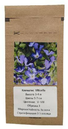 Клематис Etoile Violette/Этуаль Виолетт