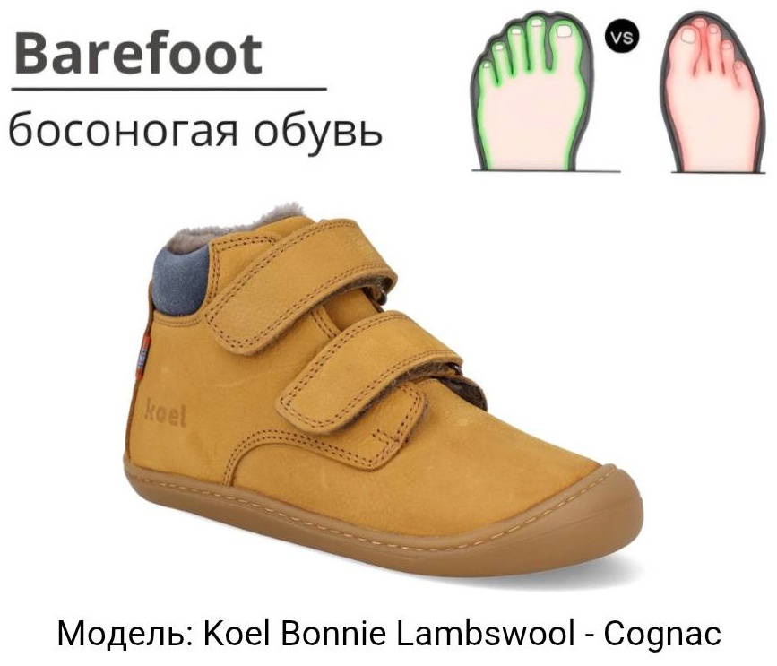 светло-коричневый