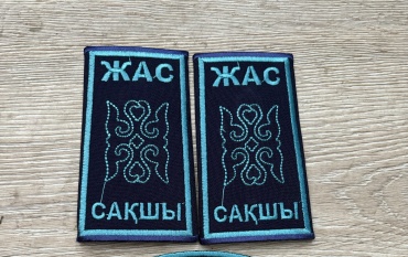 Текстильный патч 100111