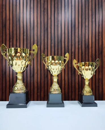 Golden Cup кубок "Комплект Адалис"
