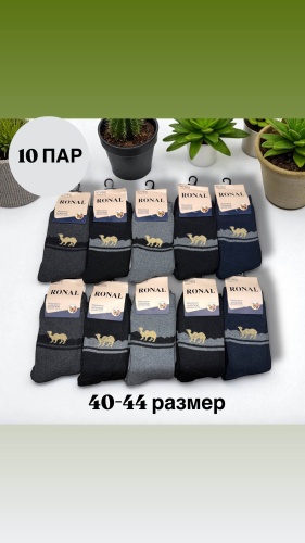 Носки SPEED WIN 10 пар черный, серый 40-44