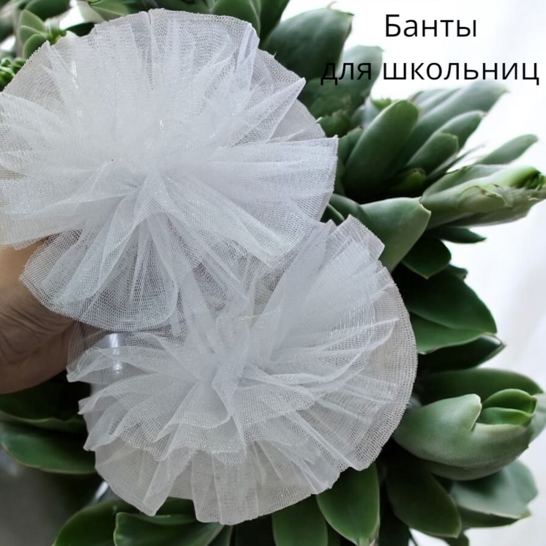 Резинка 2 шт