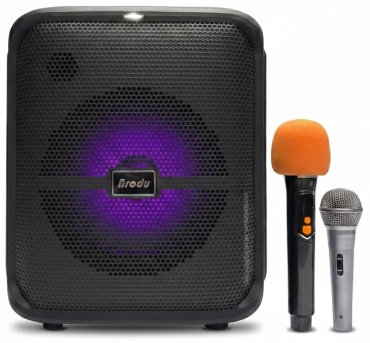 Портативная колонка Brodu BTS-1740 черный