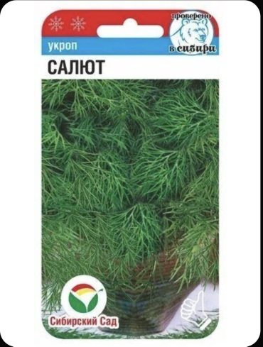 Сибирский сад укроп Салют