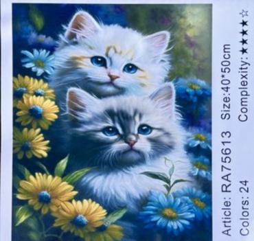 Котята RA75613 холст на подрамнике 50x40 см