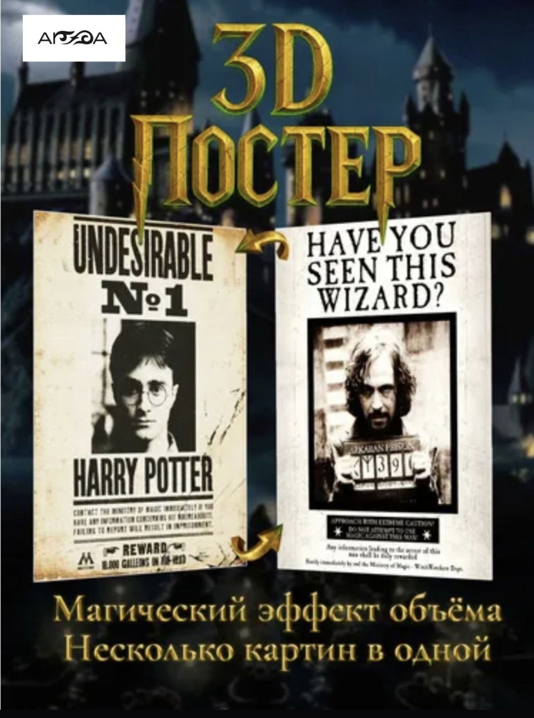 3D-картина Harry Potter/ Sirius Black 38x40 см