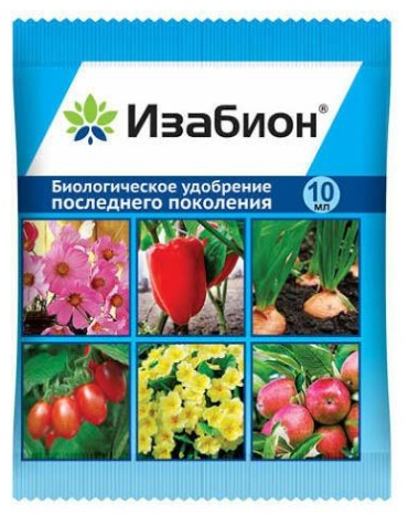 Изабион