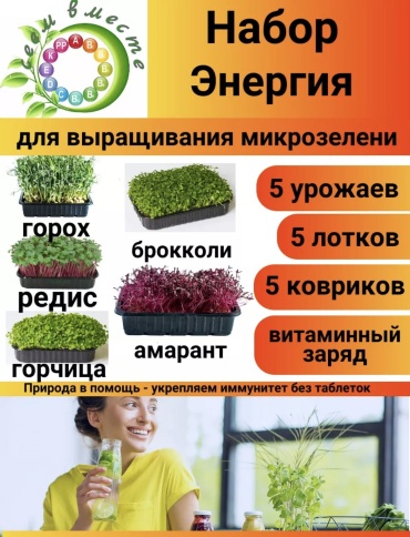 Сеем Вместе Набор микрозелени «Энергия»