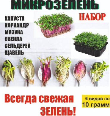 Микрозелень Набор зелёных культур, 6 видов по 10 грамм