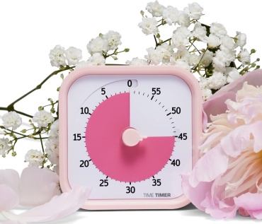 Шахматные часы TimeTimerMod