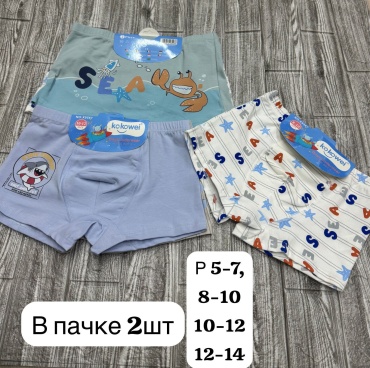 Боксеры мультиколор