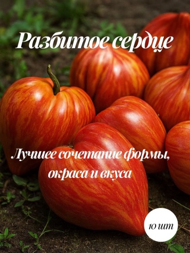 Mevsim томат Коллекционные семена Разбитое сердце