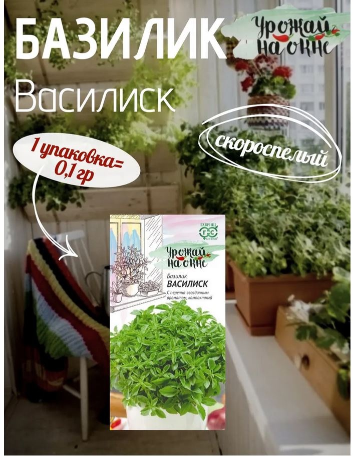 Гавриш базилик Василиск