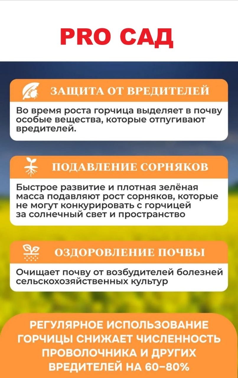 Горчица 5000 г