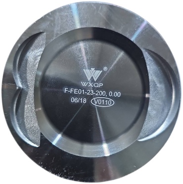 WXQP поршень 10360
