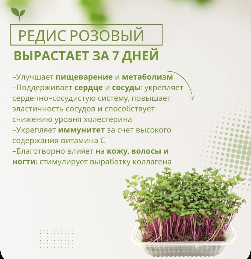 Набор для выращивания 598014532