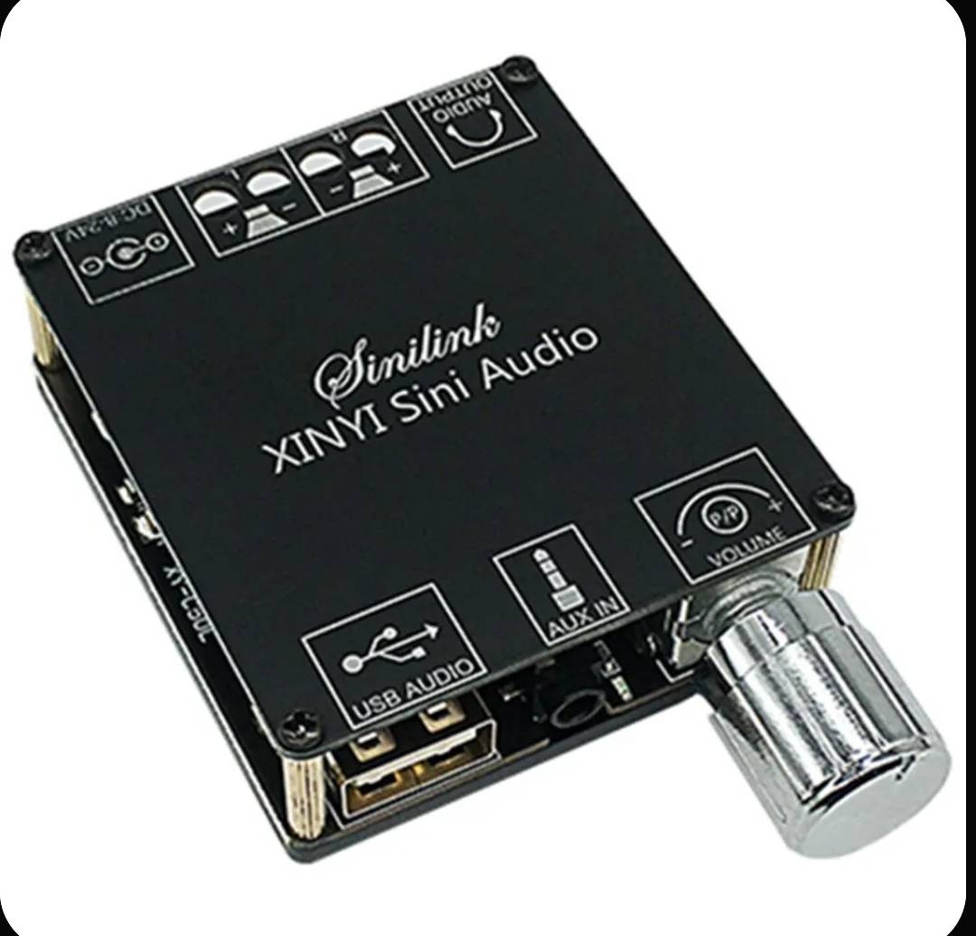 Аудиоусилитель Sinilink XY-C50L