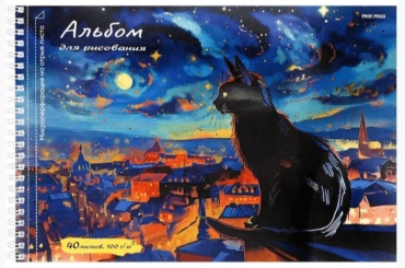 Альбом для рисования 40л. Котик и ночной город 40-2283