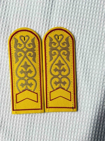 Погоны