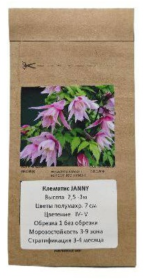 Клематис Janny Джанни