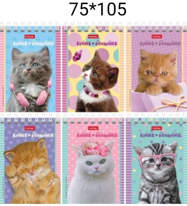Блокнот Hatber Котята, A7, 40 л, мультиколор