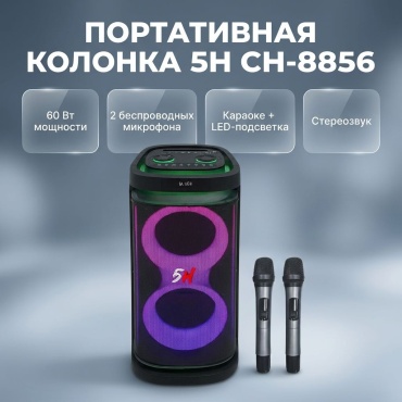 Портативная колонка 5H CH-8856 черный