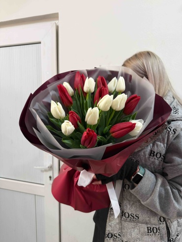 Тюльпан