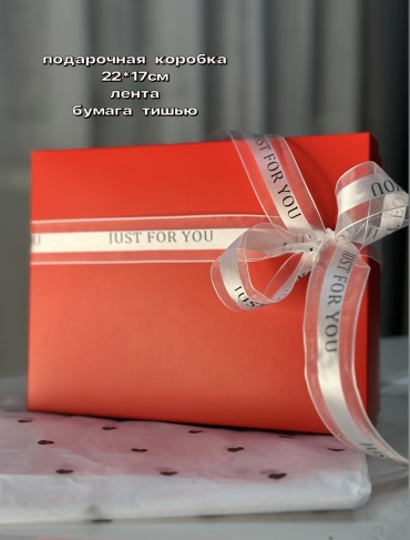 Коробка 1 шт, 22х17х6 см