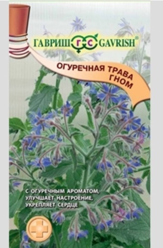 Гавриш огуречная трава Гном