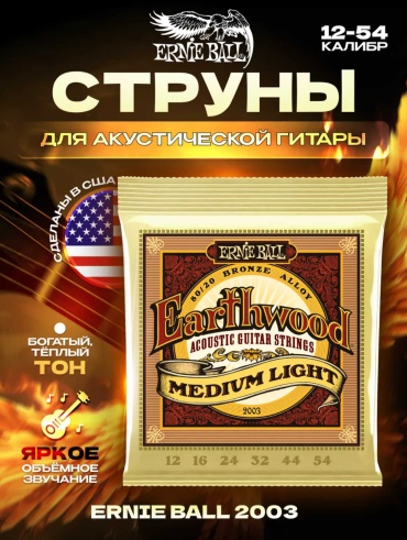 MNM FUTURE Ernie Ball Earthwood 12-54 12-54