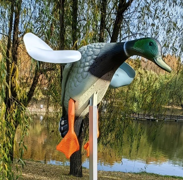 Flying Duck селезень