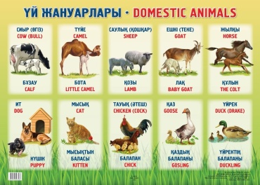 Плакат Үй жануарлары, A2, бумага