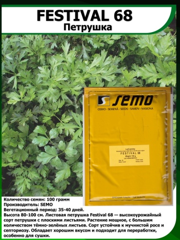 Semo петрушка Фестиваль