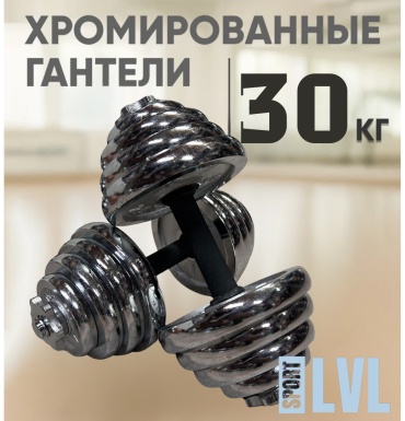 Набор гантелей SPORT LVL разборная 30 кг
