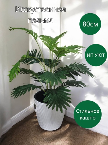 Дерево пальма хамедорея 80 см, 30373522_903293701