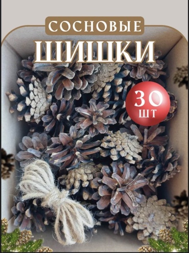 Сосновые шишки