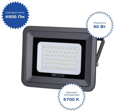 Wolta WFL-100W/06 черный