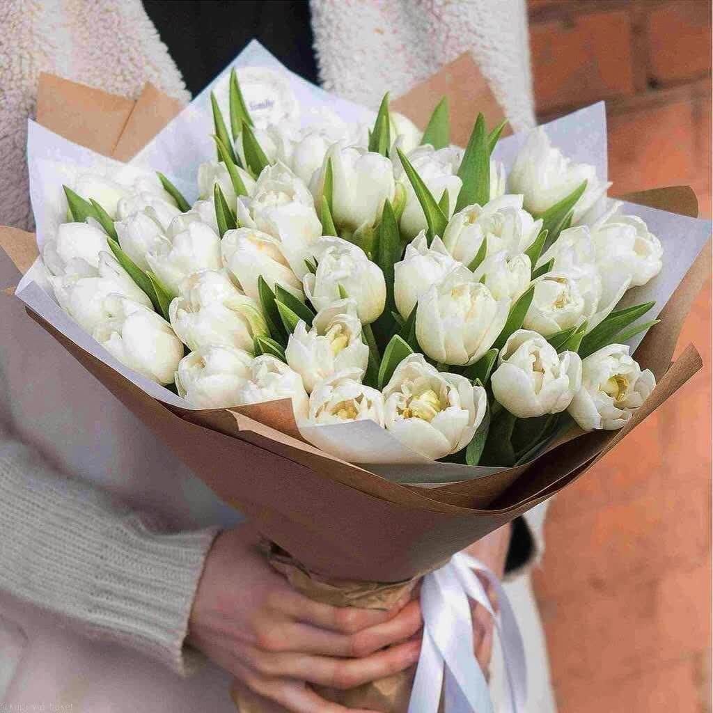 Bestflowers букет с открыткой тюльпан 25 шт 50 см