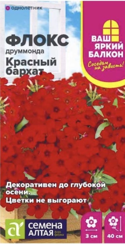 Семена Алтая флокс КРАСНЫЙ БАРХАТ, ДРУММОНДА.