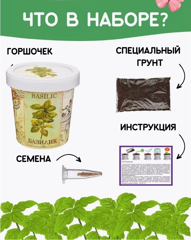 Набор для выращивания 34567876543